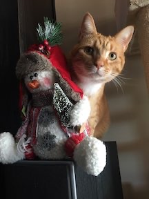 Stu had a thing for sneaking up on snowmen.