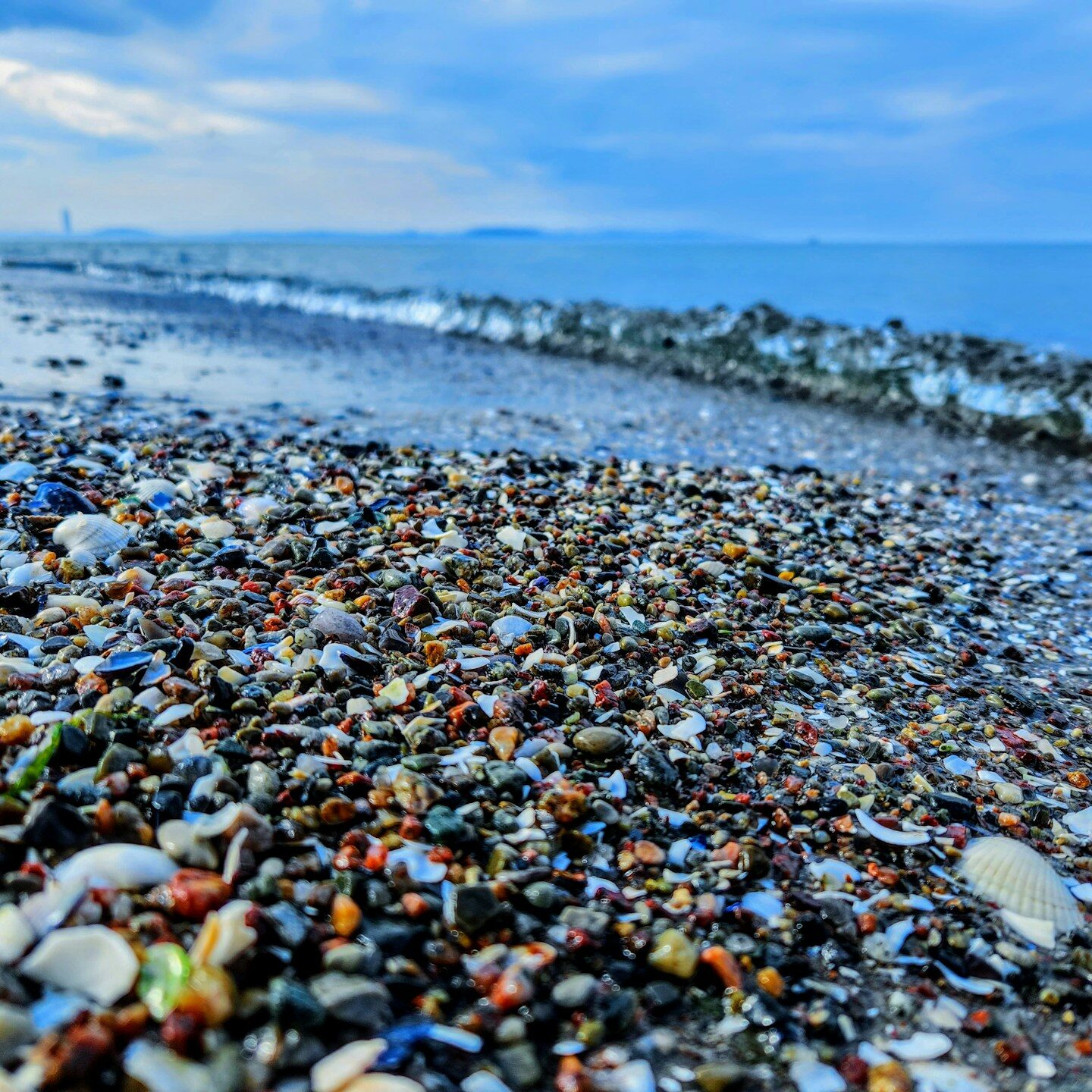 Cape May Detritus